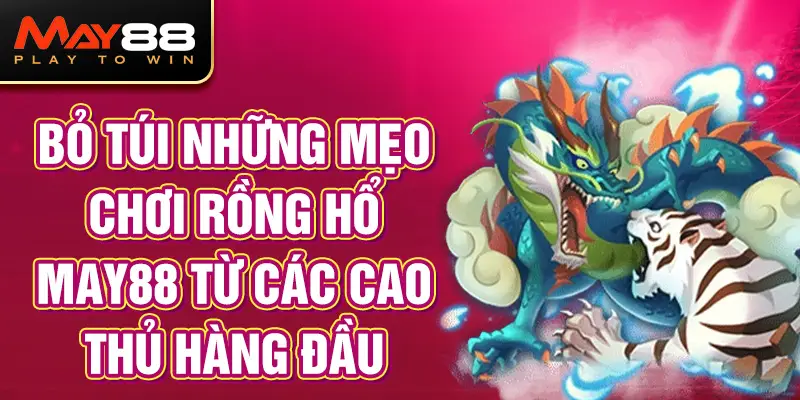 Bỏ túi những mẹo chơi Rồng Hổ MAY88 từ các cao thủ hàng đầu