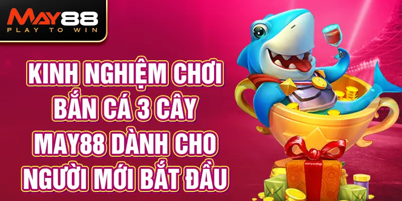 Kinh nghiệm chơi Bắn Cá 3 Cây MAY88 dành cho người mới bắt đầu