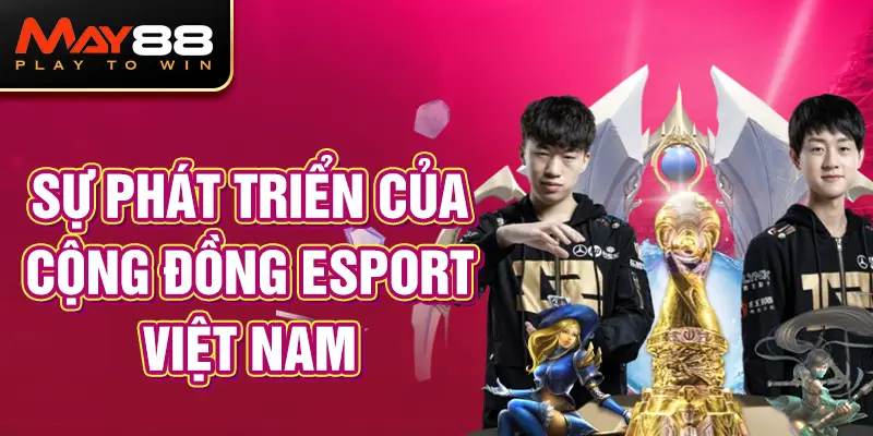 Sự Phát Triển Của Cộng Đồng Esport Việt Nam